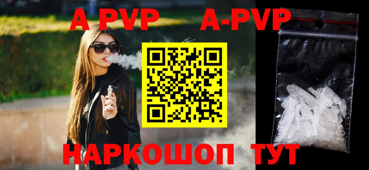 A PVP СК КРИС  Дубна 