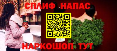 спиды Гатчина