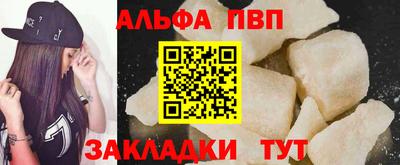 спиды Гатчина