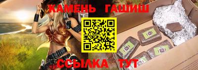 спиды Гатчина