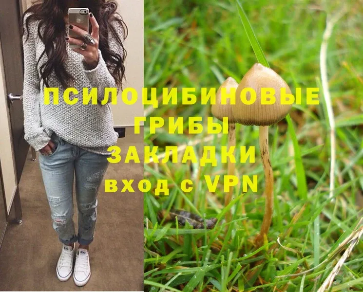 Псилоцибиновые грибы Psilocybe  гидра рабочий сайт  Дубна 