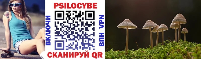 Псилоцибиновые грибы MAGIC MUSHROOMS  Дубна 